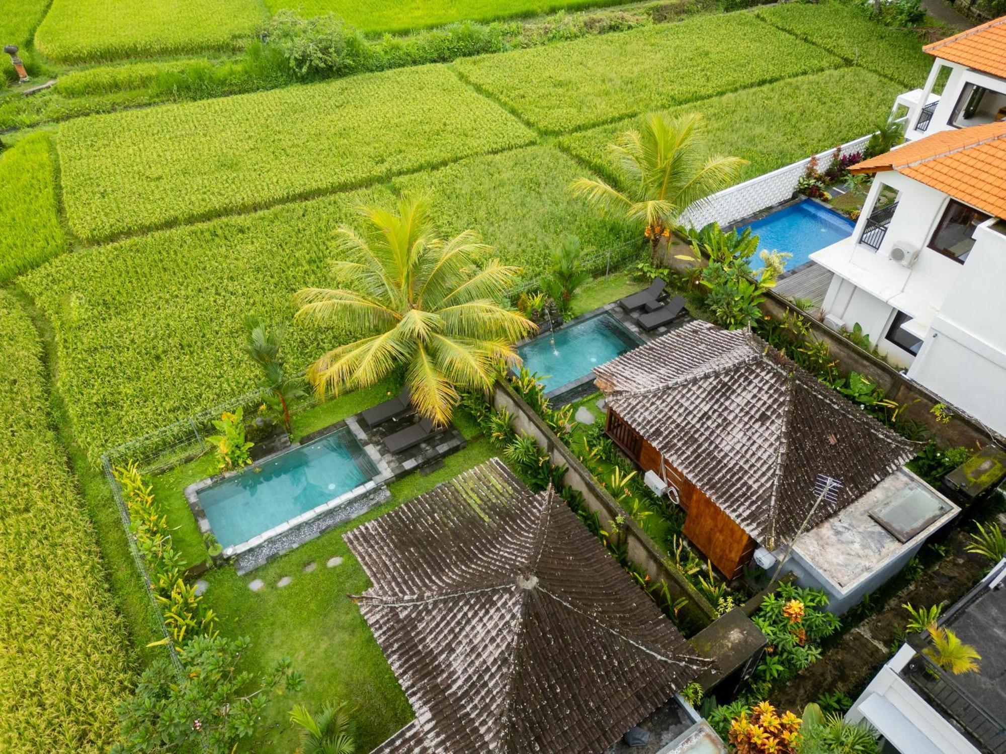 Mardika Private Villa Убуд Экстерьер фото
